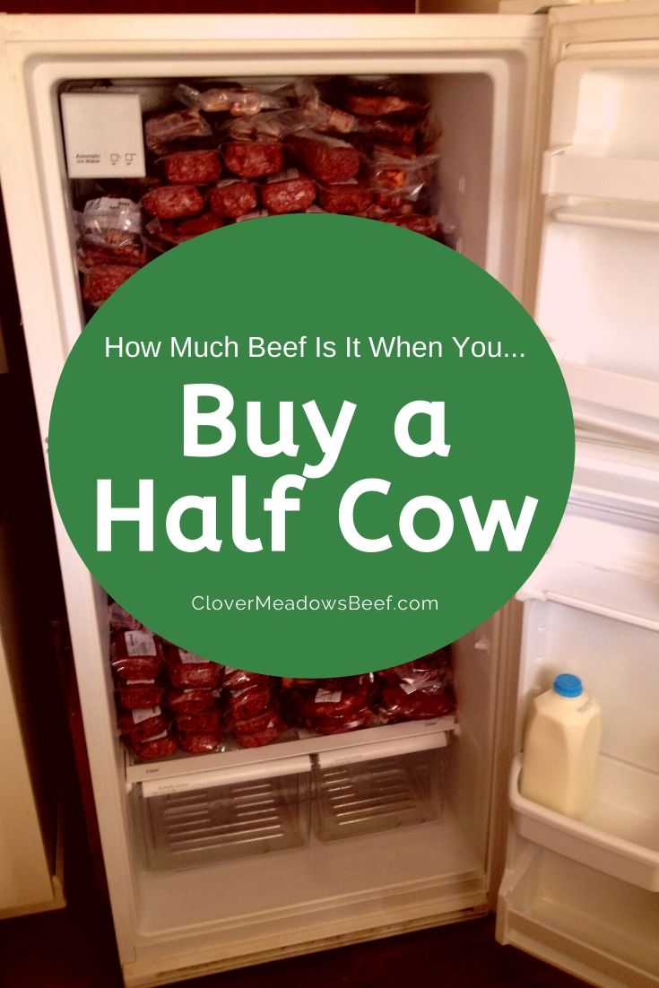 How Much Does a Half Cow Cost: Understanding Meat Purchasing Options